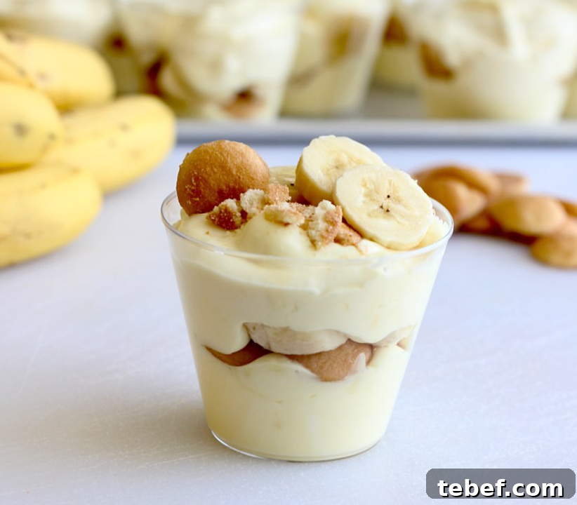 Creamy Banana Pudding Cups Recipe — No-Bake Dessert Cups 7 img 284 6
