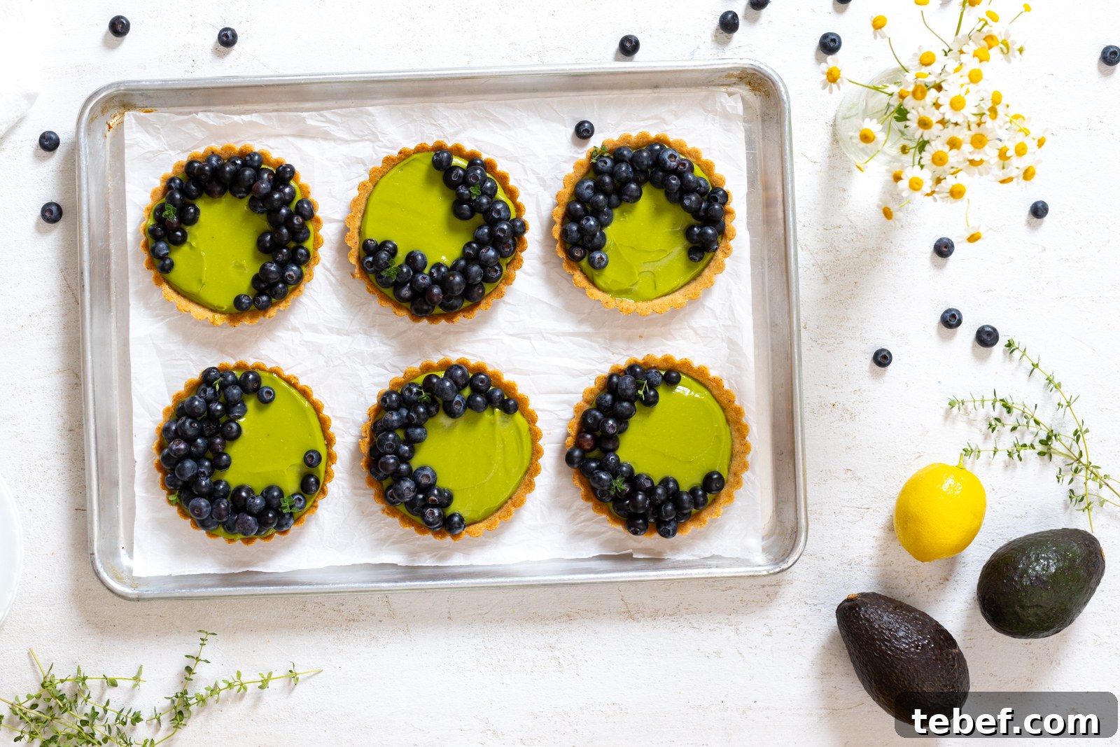 6 sweet little Avocado Blueberry Tarts with Almond Crust. The flavor and texture combo is a dream.