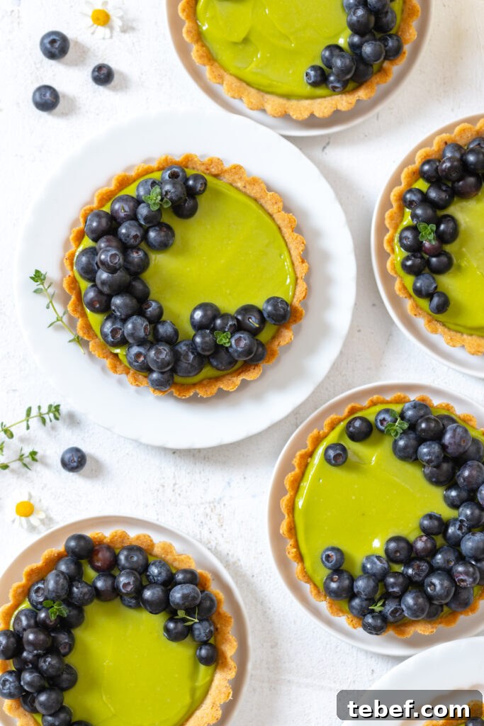 Avocado Blueberry Tarts with Almond Crust close up