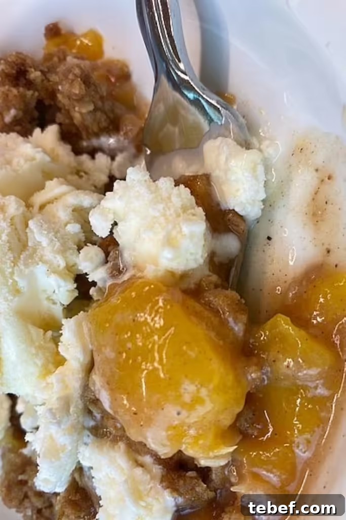 How to Make a Perfect Fresh Peach Crisp Every Time 4 img 2893 3