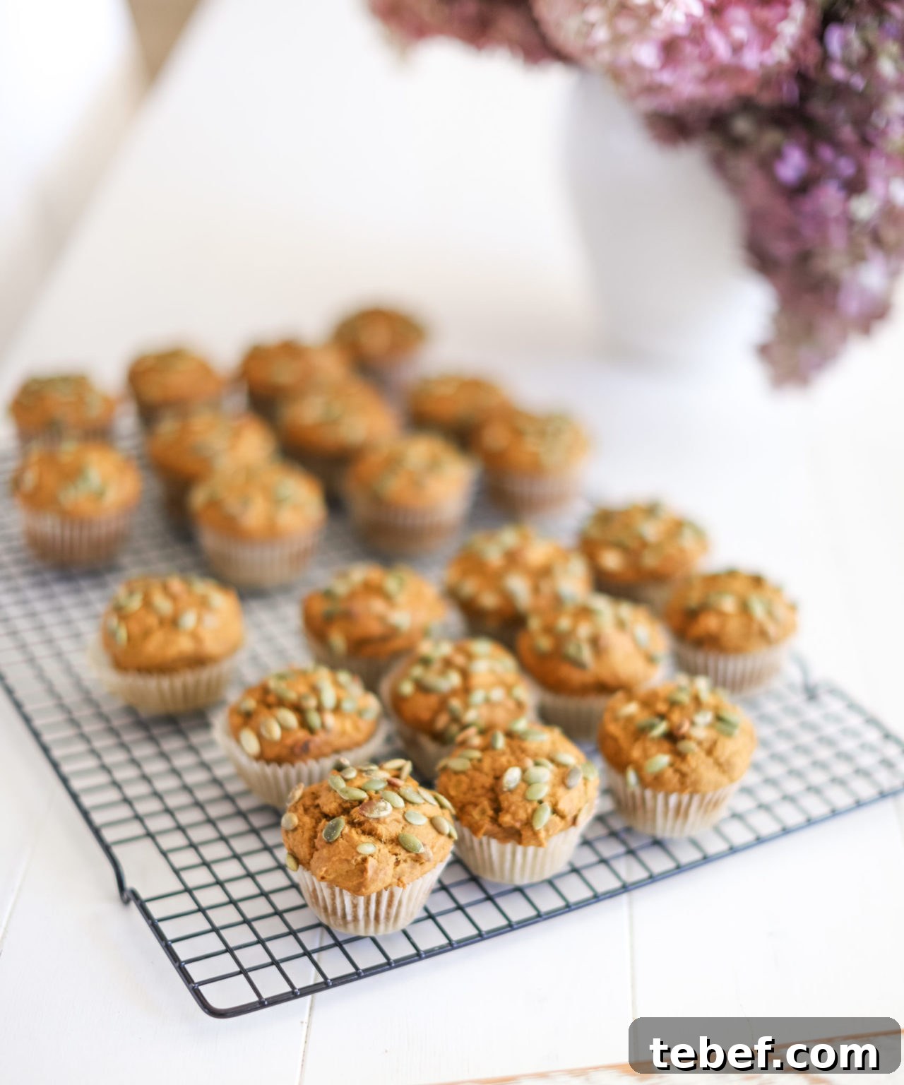 Moist Pumpkin Muffins with Warm Spices Recipe 3 Pumpkin Muffins