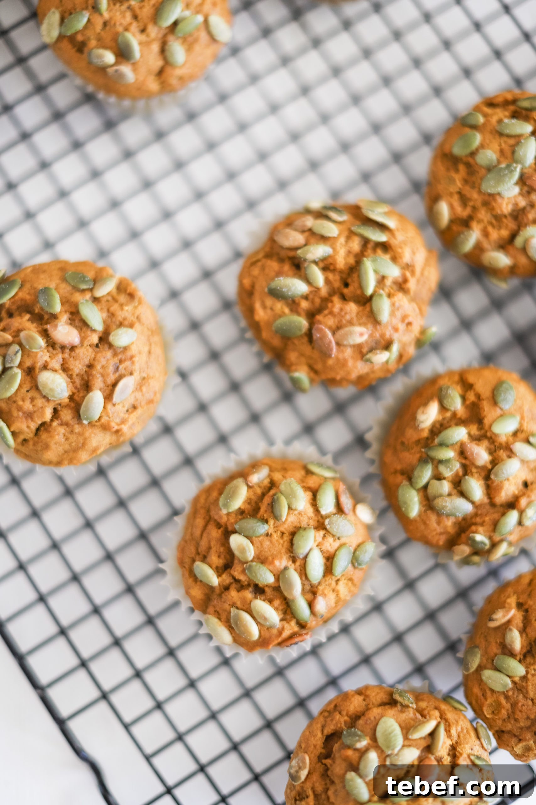 Moist Pumpkin Muffins with Warm Spices Recipe 5 Pumpkin Muffins with a gluten free and vegan option. Simple and easy for fall breakfasts!