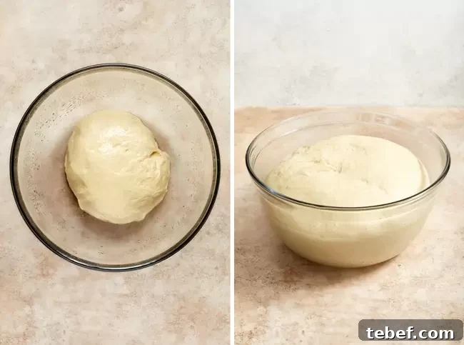 Bread dough in a mixing bowl and then fully risen in the mixing bowl.
