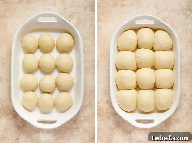 Dinner roll dough shaped and then fully risen in a baking dish.