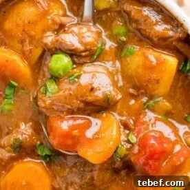 Spoonful of Instant Pot beef stew.