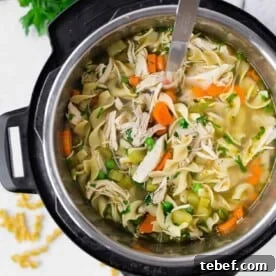 Instant Pot chicken noodle soup.