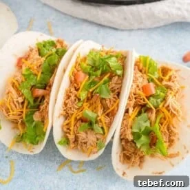 Three chicken tacos topped with lettuce and tomatoes.