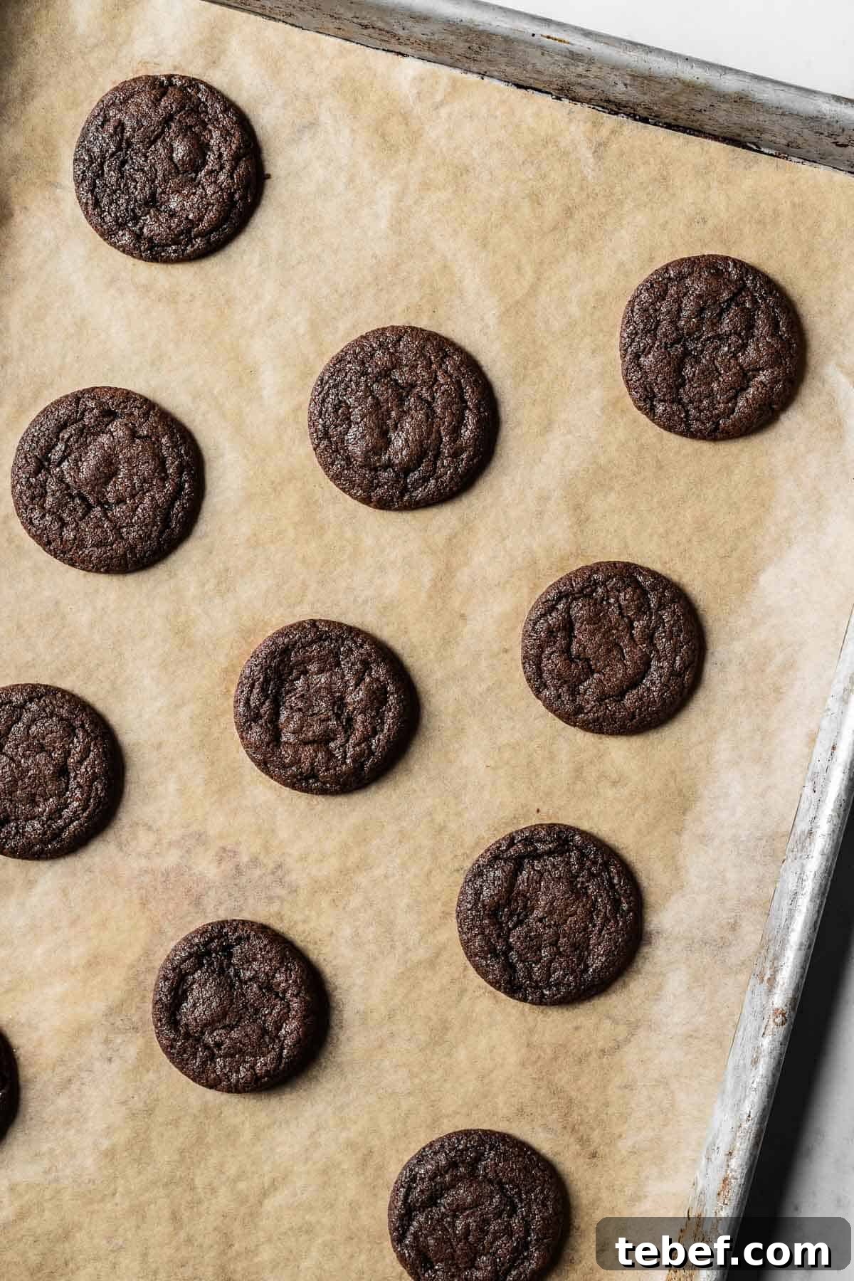 Baked chocolate mascarpone cookies on a parchment lined baking sheet.