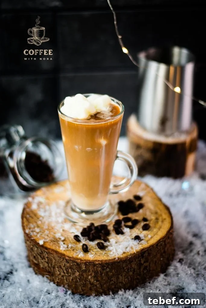 Creamy Iced Coffee with Milk Recipe: Chilled Cafe-Style Drink 7 Gorgeous image of a high coffee glass, filled with iced coffee. The beautiful snowflake shaped milk ice cubes make this treat even more appealing.