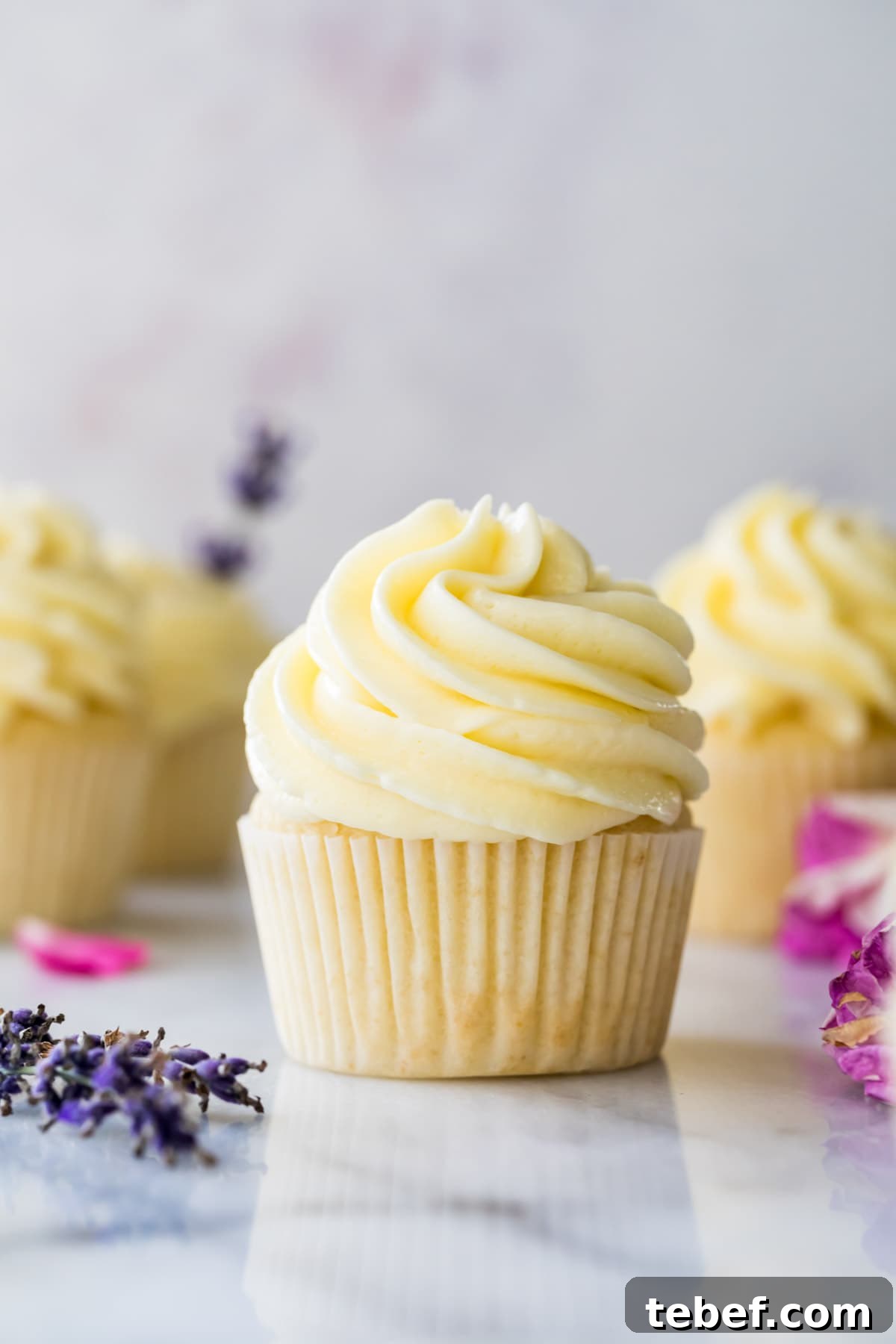 Cupcake topped with German buttercream frosting surrounded by other cupcakes