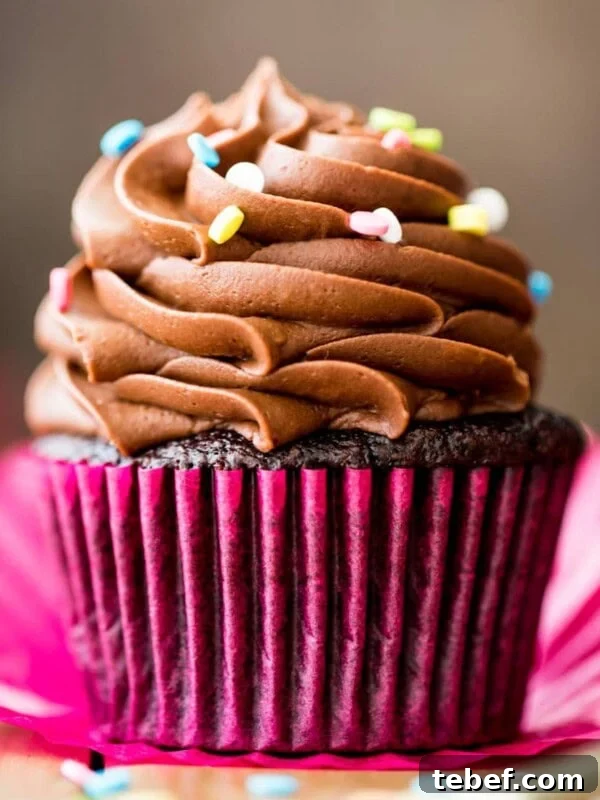 chocolate cupcake with chocolate frosting and sprinkles