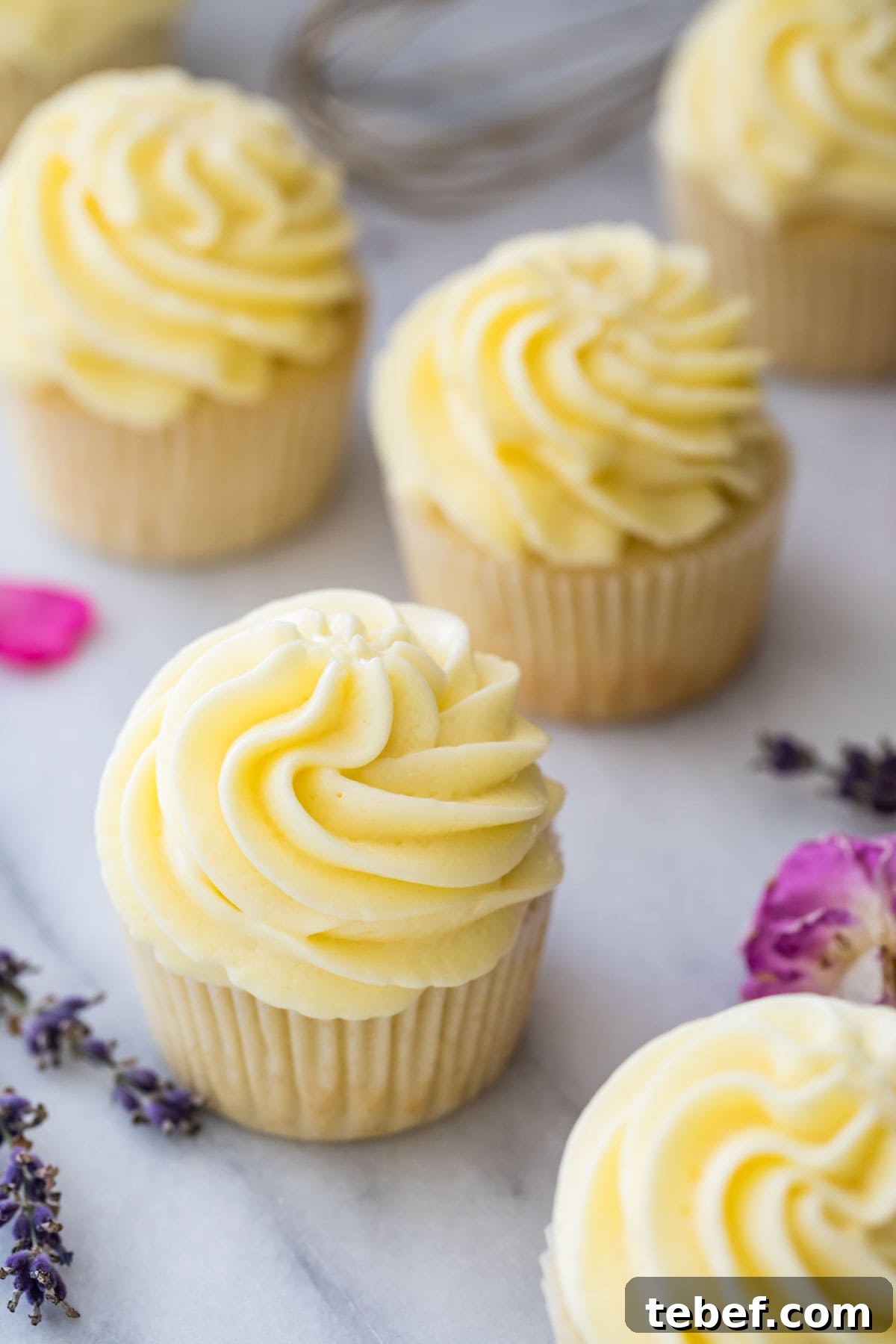 overhead view of cupcakes topped with piped German buttercream
