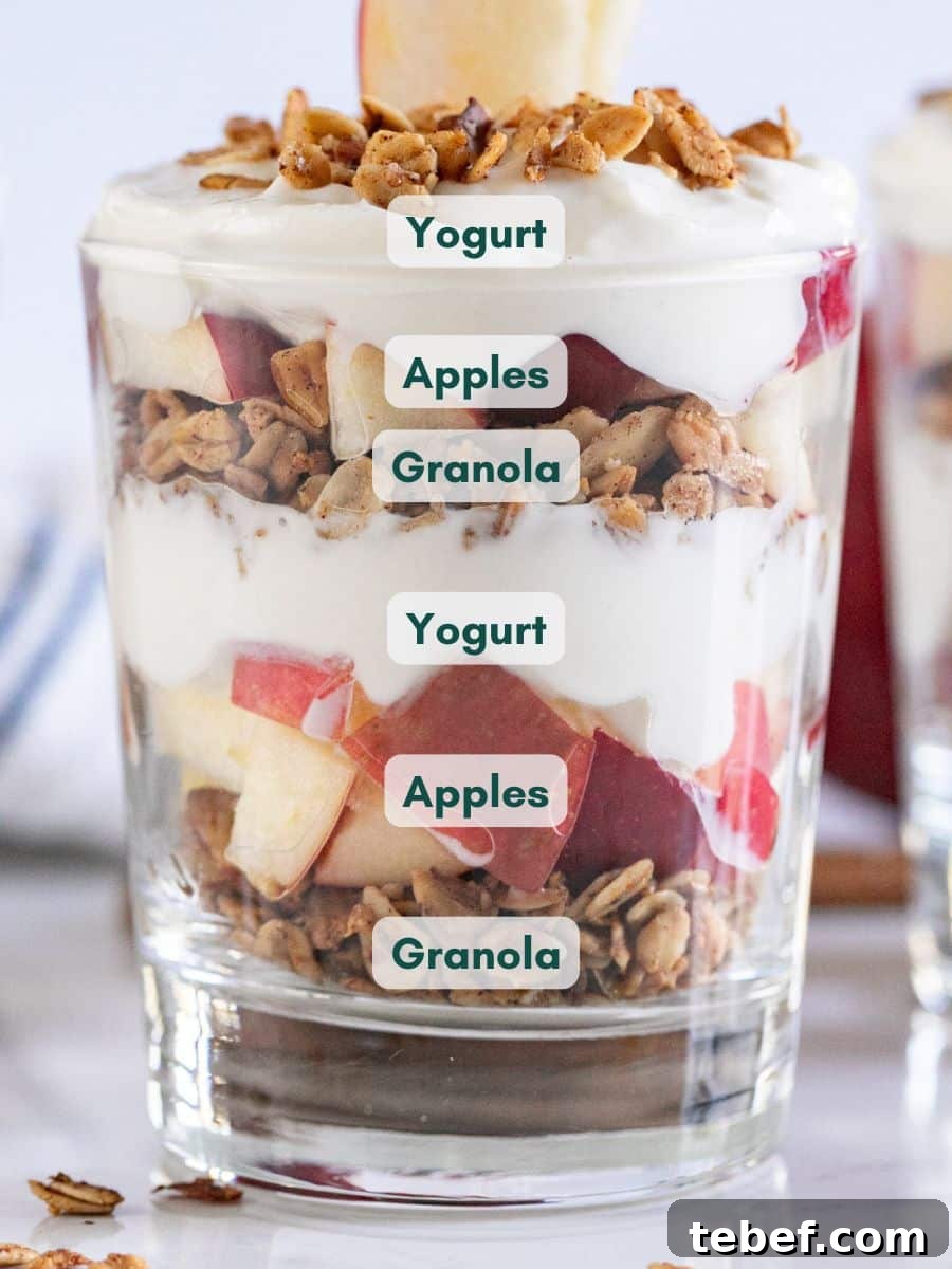 Apple Yogurt Parfait with Cinnamon Granola Recipe 3 A close up image of a parfait with each layer ingredients labeled.