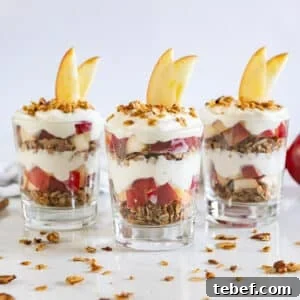 Apple Yogurt Parfait with Cinnamon Granola Recipe 6 3 apple yogurt parfaits with granola around them.