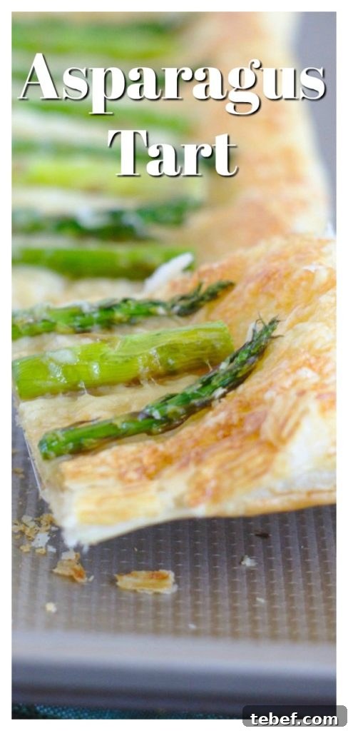 Asparagus Tart - This savory tart recipe is made with just 5 ingredients! Crispy puff pastry topped with cheese and fresh asparagus. Asparagus tart is a great appetizer or brunch recipe! Asparagus Recipe | Appetizer Recipe | Savory Tart Recipe Asparagus Tart - This savory tart recipe is made with just 5 ingredients! Crispy puff pastry topped with cheese and fresh asparagus. Asparagus tart is a great appetizer or brunch recipe! Asparagus Recipe | Appetizer Recipe | Savory Tart Recipe