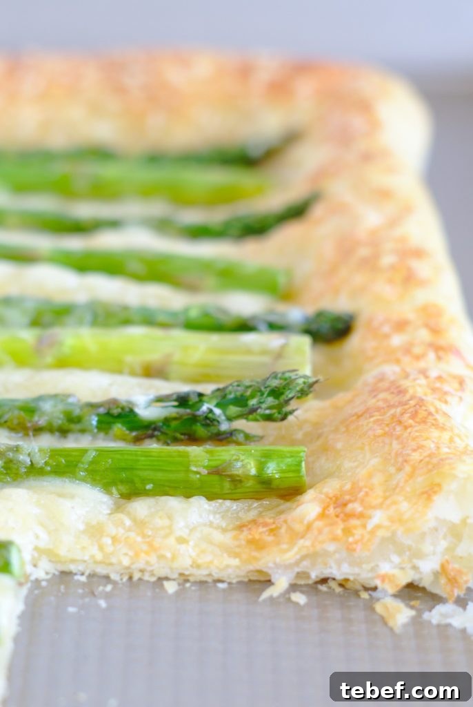 Asparagus Recipe Asparagus Recipe