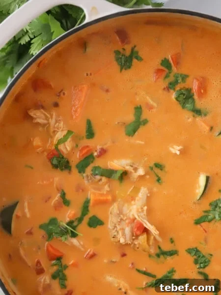 Creamy Thai Peanut Sauce Recipe for Dipping & Stir-Fries 6 how to make chicken curry coconut soup recipe