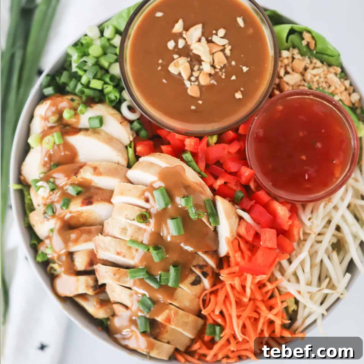 Creamy Thai Peanut Sauce Recipe for Dipping & Stir-Fries 7 Thai chicken salad with peanut dressing