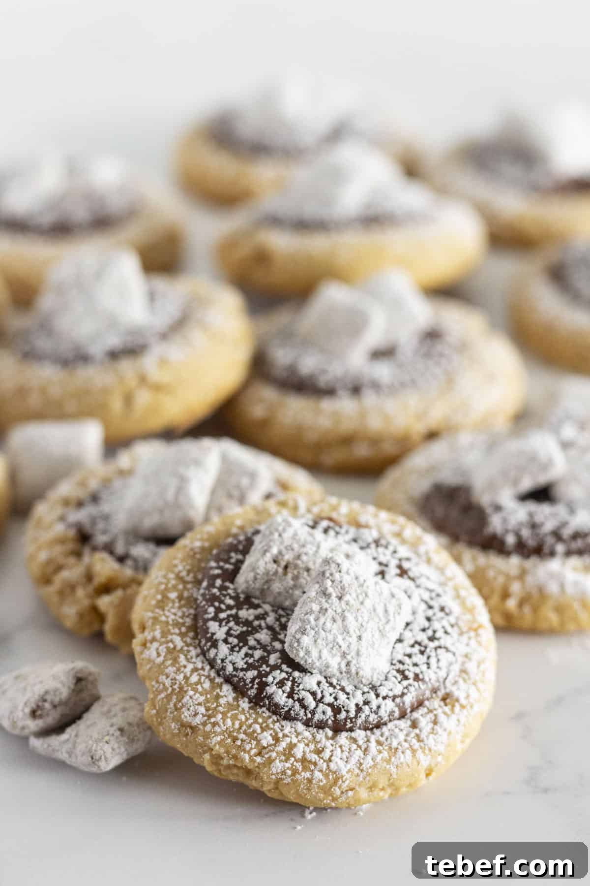 Serving muddy buddy cookies with chocolate and powdered sugar.