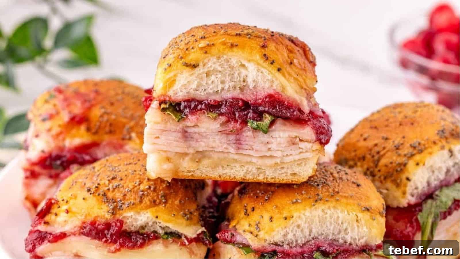 22 Festive Holiday Party Appetizers to Delight Your Guests 17 Turkey Cranberry Sliders