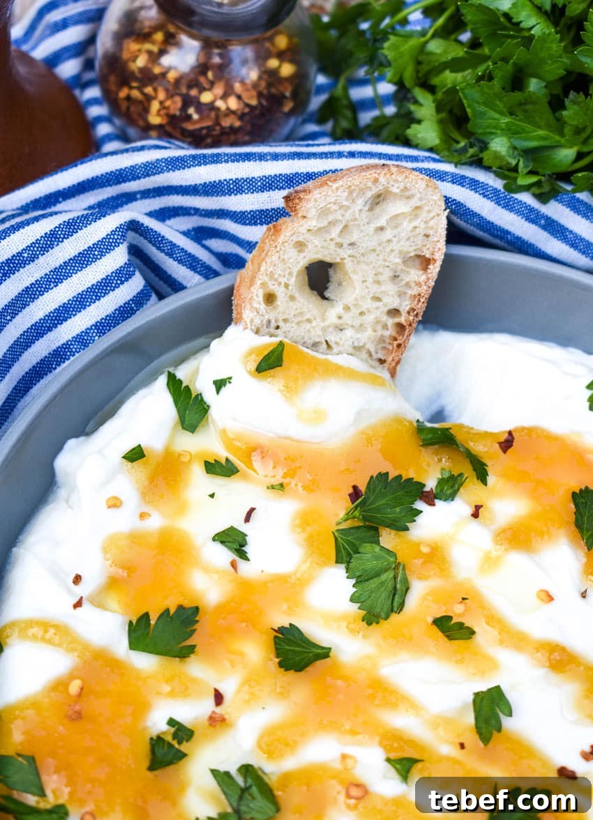a baguette slice dipped in a shallow bowl filled with freshly whipped ricotta cheese dip topped with honey and fresh herbs