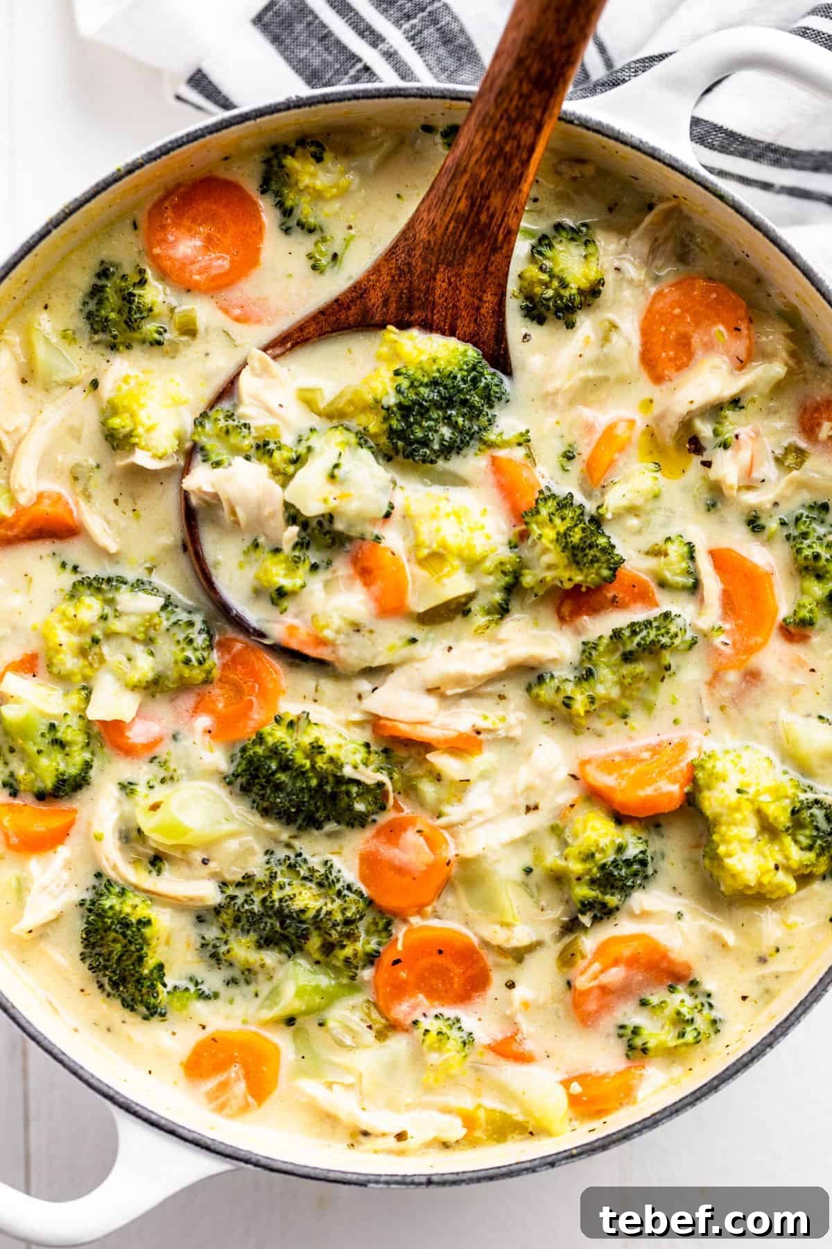 14 Comforting Soup Recipes You’ll Crave This Season 13 Chicken Broccoli Soup