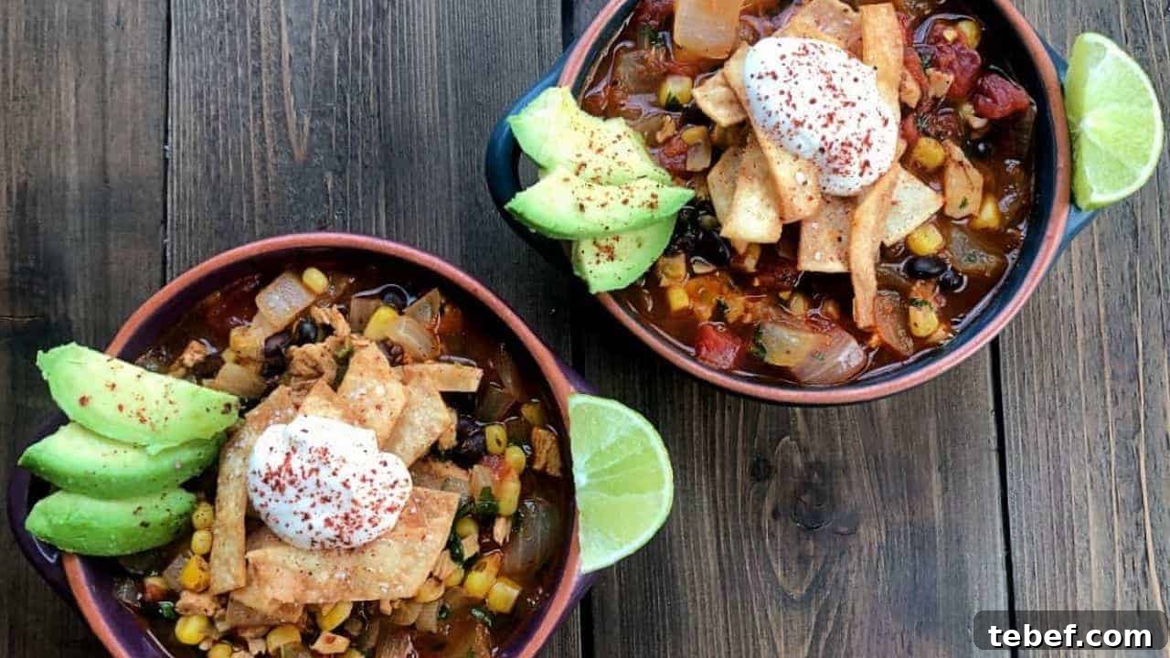 14 Comforting Soup Recipes You’ll Crave This Season 3 Chunky Chicken Tortilla Soup