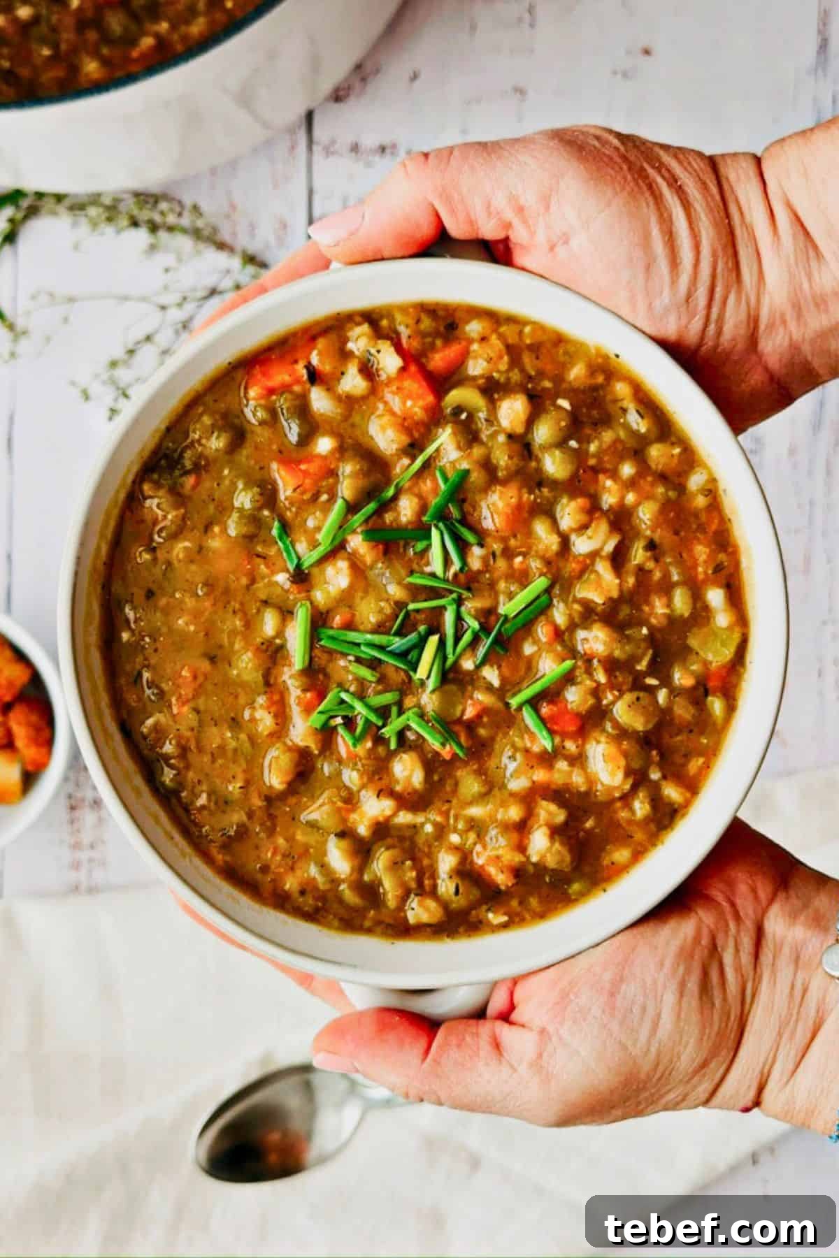 14 Comforting Soup Recipes You’ll Crave This Season 7 Vegan Split Pea and Barley Soup