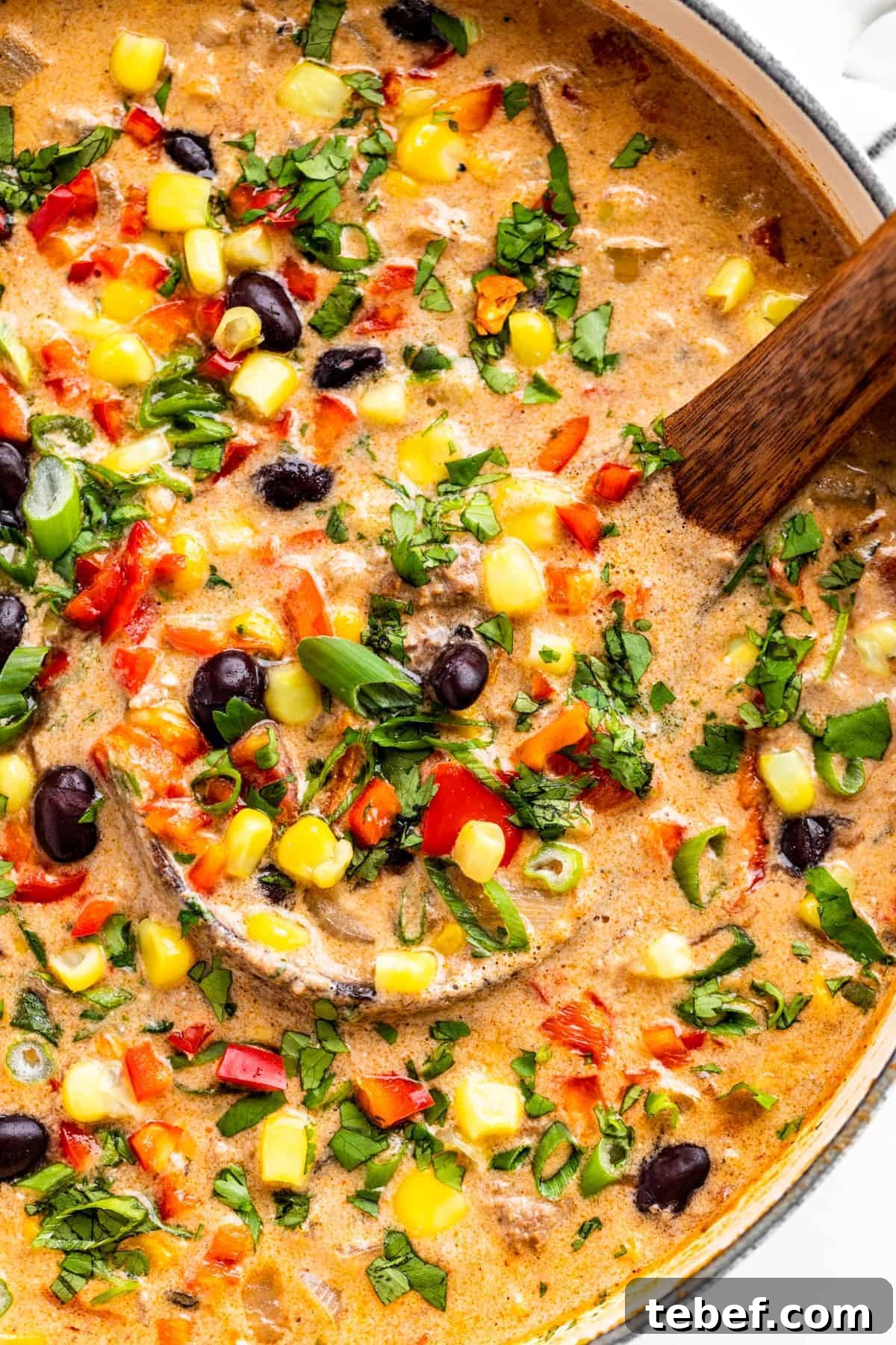 14 Comforting Soup Recipes You’ll Crave This Season 9 Creamy Taco Soup