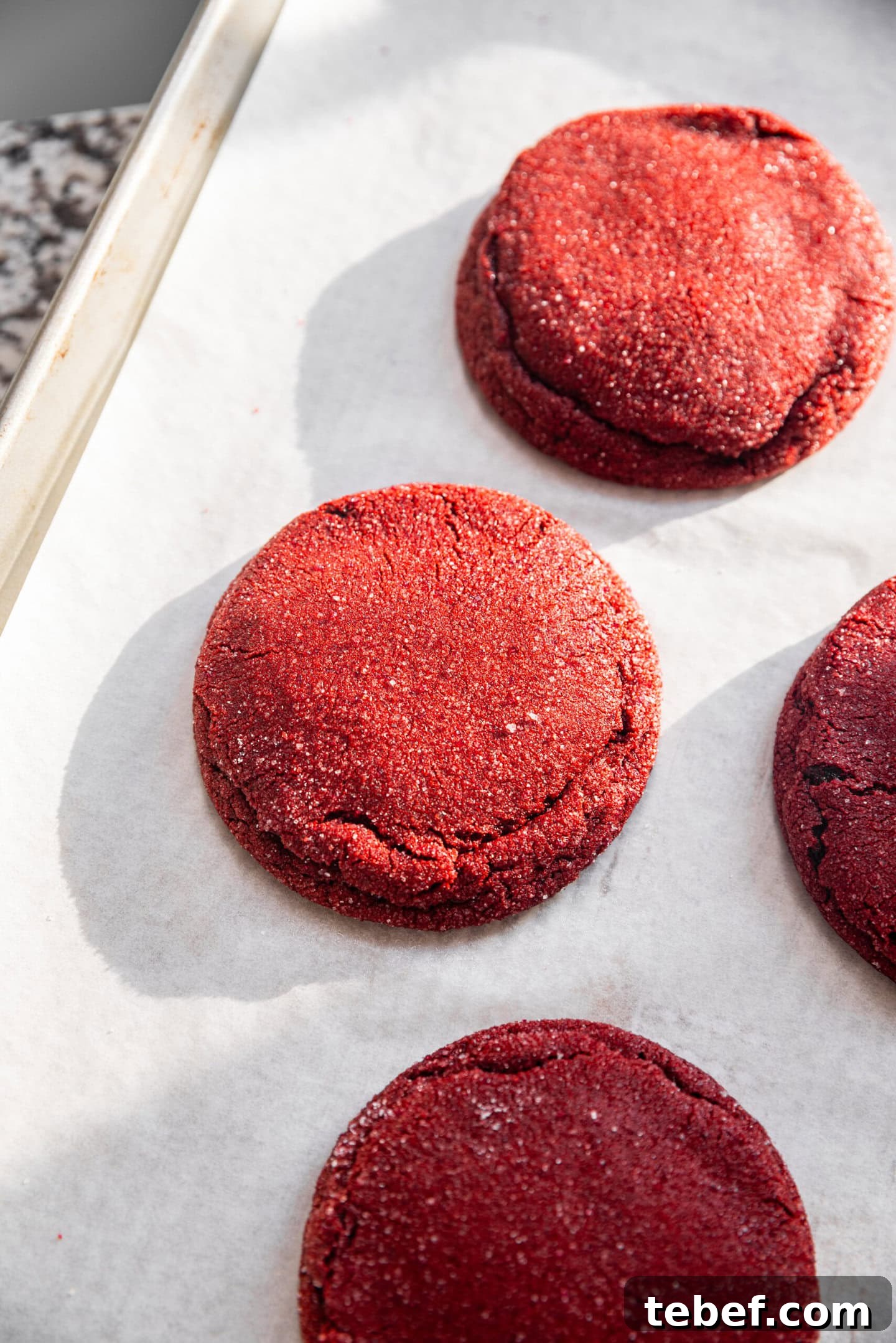 Red Velvet Cookies Stuffed with Cream Cheese — 8 Giant Cookies 4 Freshly baked cream cheese stuffed red velvet cookies on a baking tray cooling on a kitchen counter.