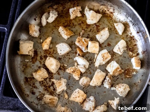Creamy Lemon Chicken Pasta Recipe with Garlic and Parmesan 3 how to brown the chicken