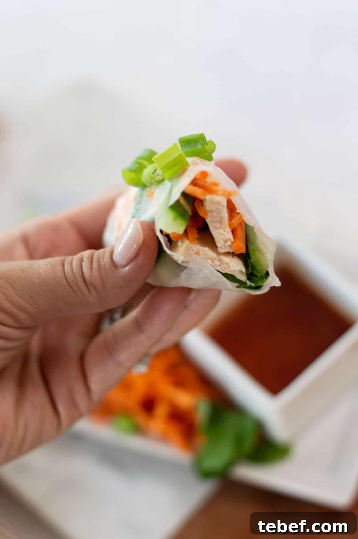 Gluten-Free Spring Rolls Ready in 10 Minutes 5 gluten free spring rolls cut in half
