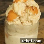 Banana Pudding Ice Cream Recipe