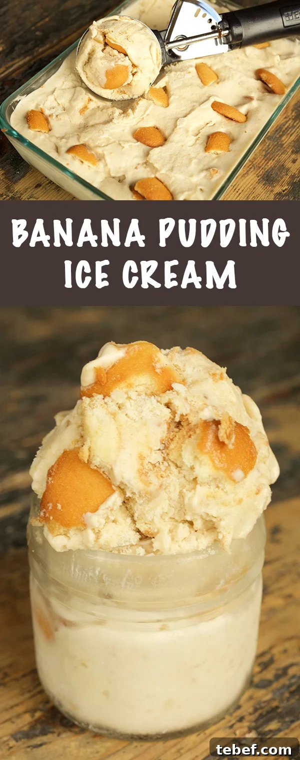 Banana Pudding Ice Cream