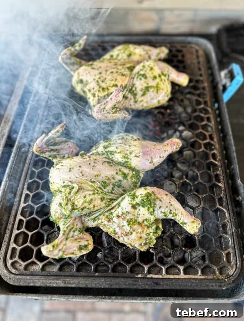 Grilled Cornish Hens with Zesty Chimichurri Sauce 3 Grilled Cornish game hens with chimichurri
