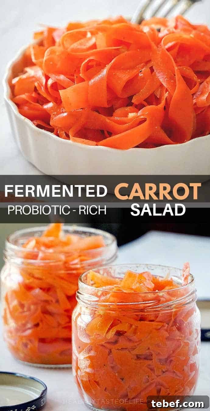 Tangy Fermented Shaved Carrot Salad Recipe for Gut Health 9 Lacto fermented shaved carrot salad recipe – the shaved carrots are seasoned with spices like garlic and coriander then fermented until it gets a tangy spicy taste.