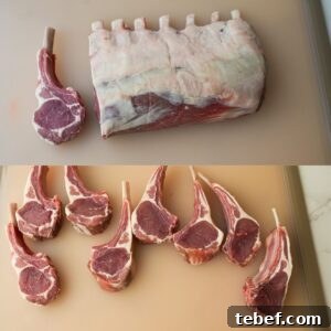 Garlic Herb Lamb Chops with Crispy Seared Edges 4 Lamb chops cut from rack of lamb.