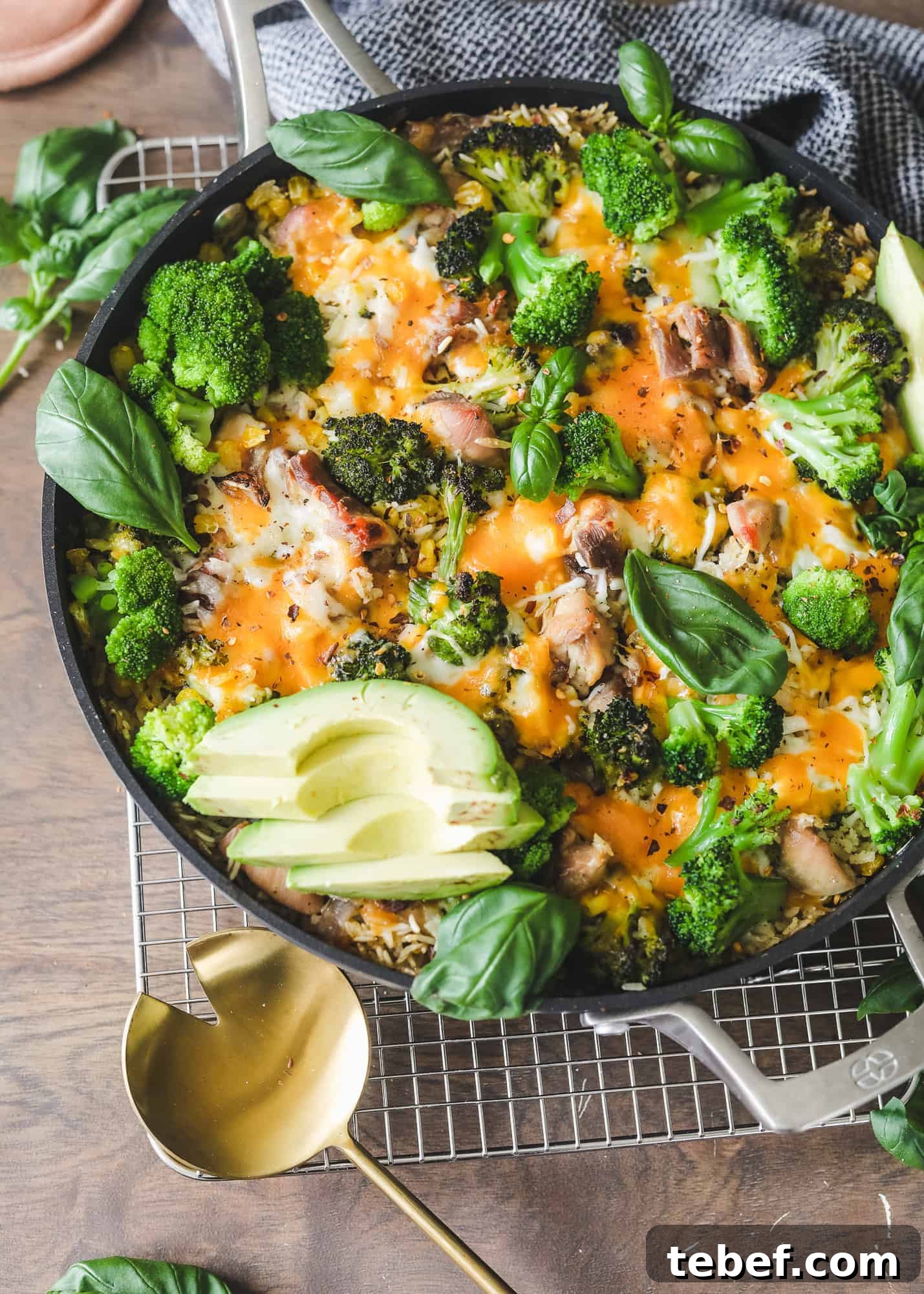 Chicken, Broccoli & Rice Casserole with Cheesy Sauce 3 Easy Chicken Broccoli and Cheese Casserole on a cooling rack with a dish cloth