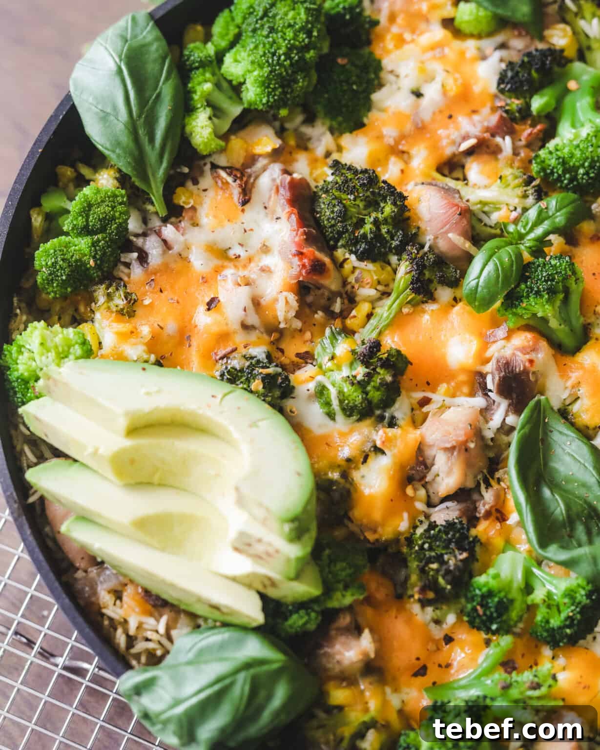 Chicken, Broccoli & Rice Casserole with Cheesy Sauce 4 img 4355 3