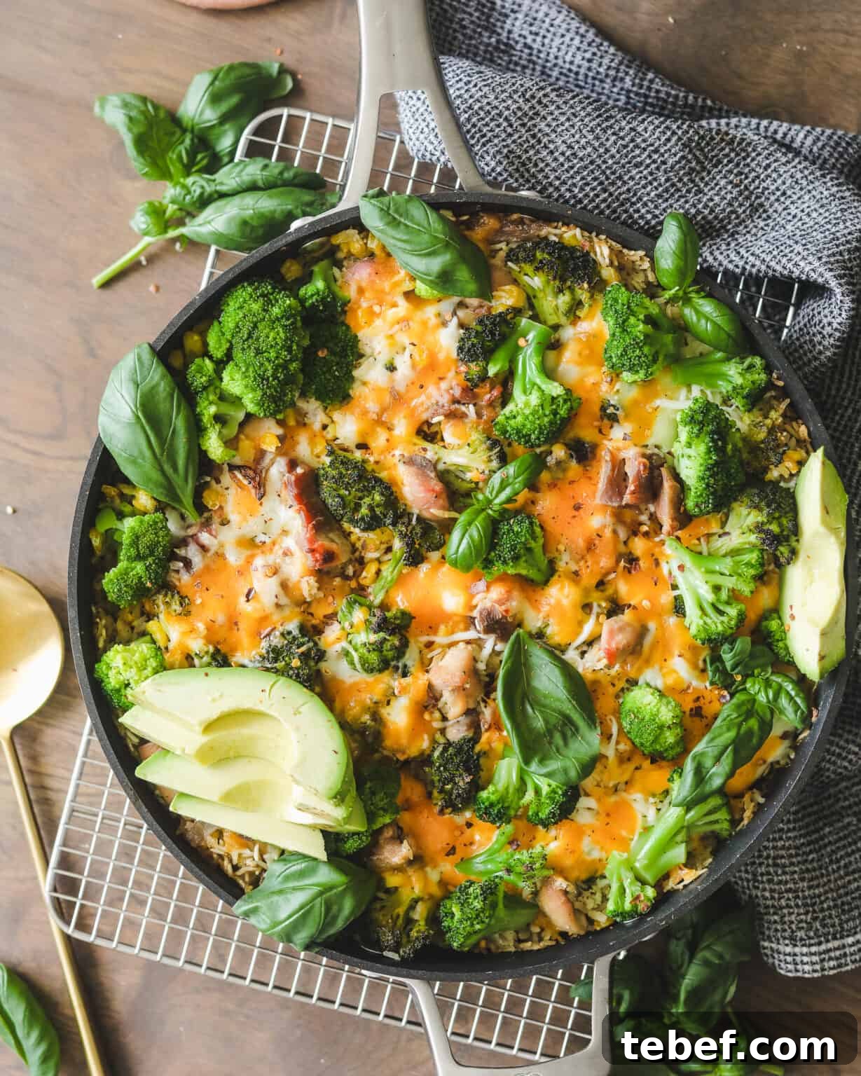 Chicken, Broccoli & Rice Casserole with Cheesy Sauce 5 Easy Chicken Broccoli and Cheese Casserole on a cooling rack with a dish cloth