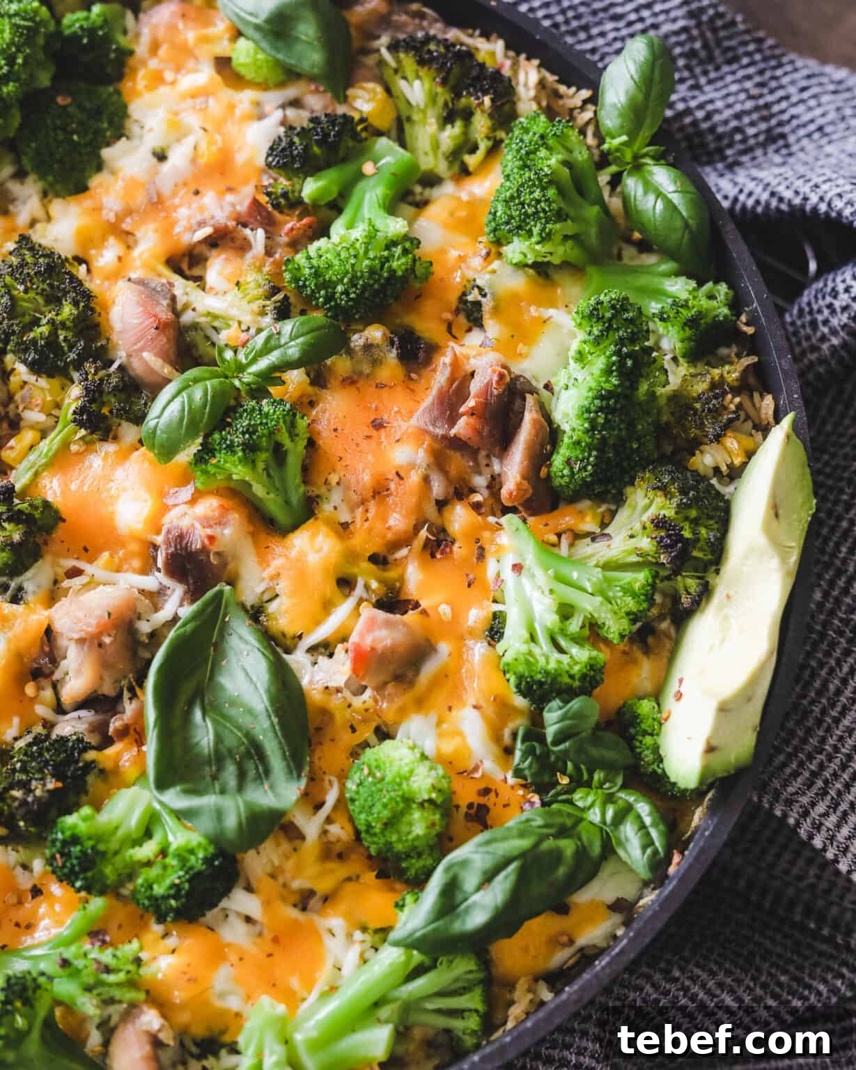 Chicken, Broccoli & Rice Casserole with Cheesy Sauce 6 img 4355 5