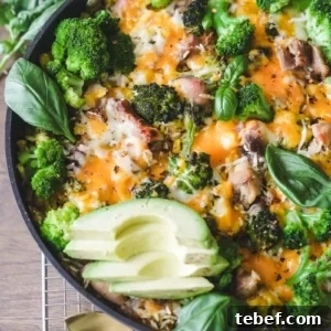 Chicken, Broccoli & Rice Casserole with Cheesy Sauce 7 img 4355 6