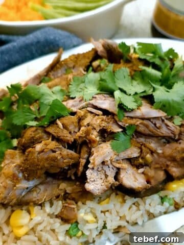 Close up of slices of curried slow cooked lamb on a bed of rice and peas.