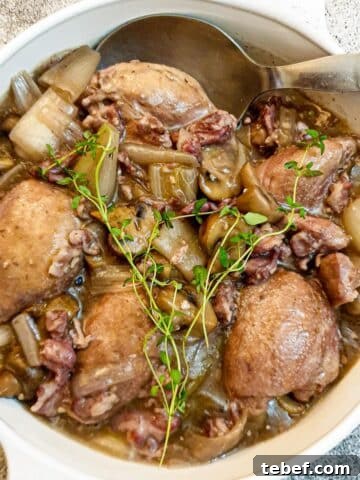 A dish of coq au vin garnished with a sprig of fresh thyme.