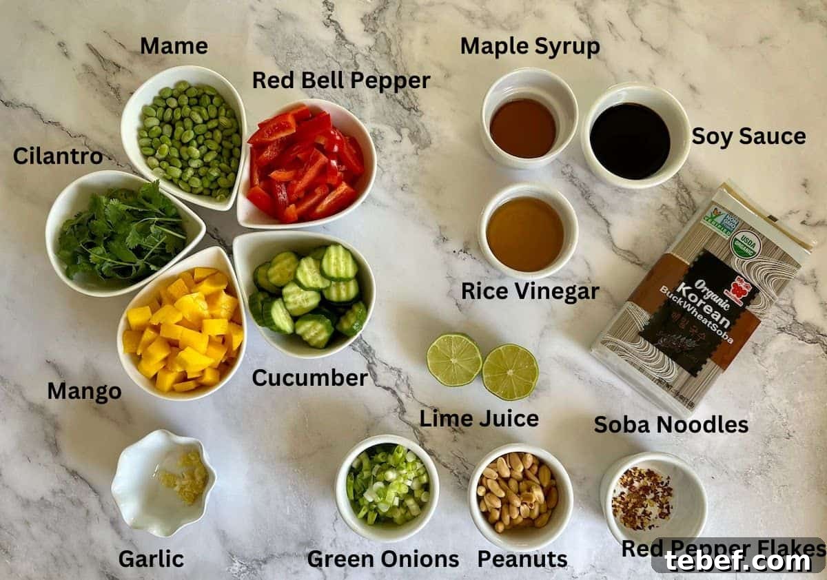 Salad ingredients; soba noodles, red bell pepper, mame, cilantro, mango, cucumber, garlic, green onions, peanuts, red pepper flakes, lime juice, rice vinegar, soy sauce, and maple syrup. 