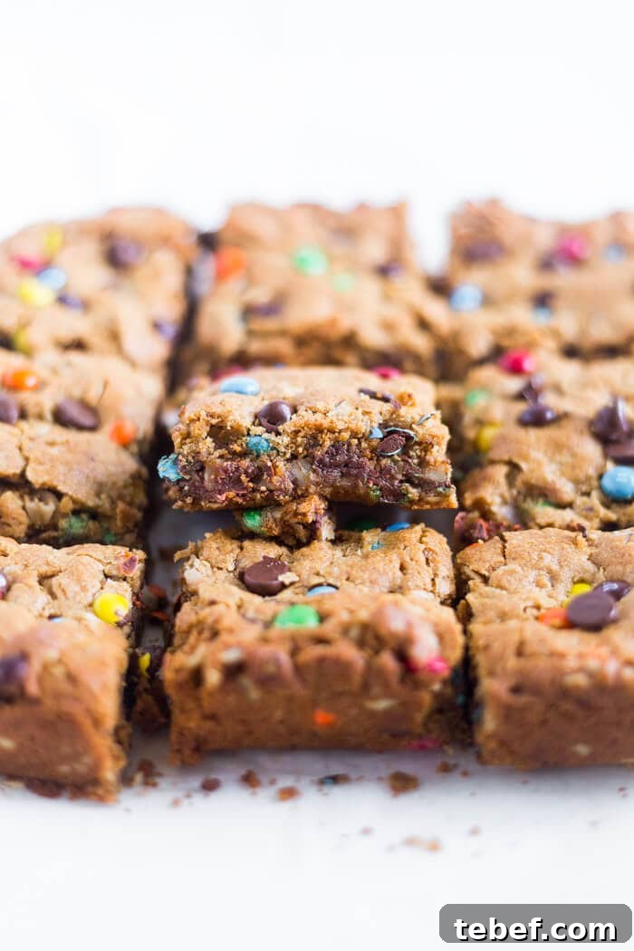 Flourless Monster Cookie Bars with M&M and Oats 2 flourless monster cookie bars