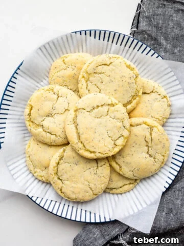 A plate of lemon poppy seed sugar cookies.