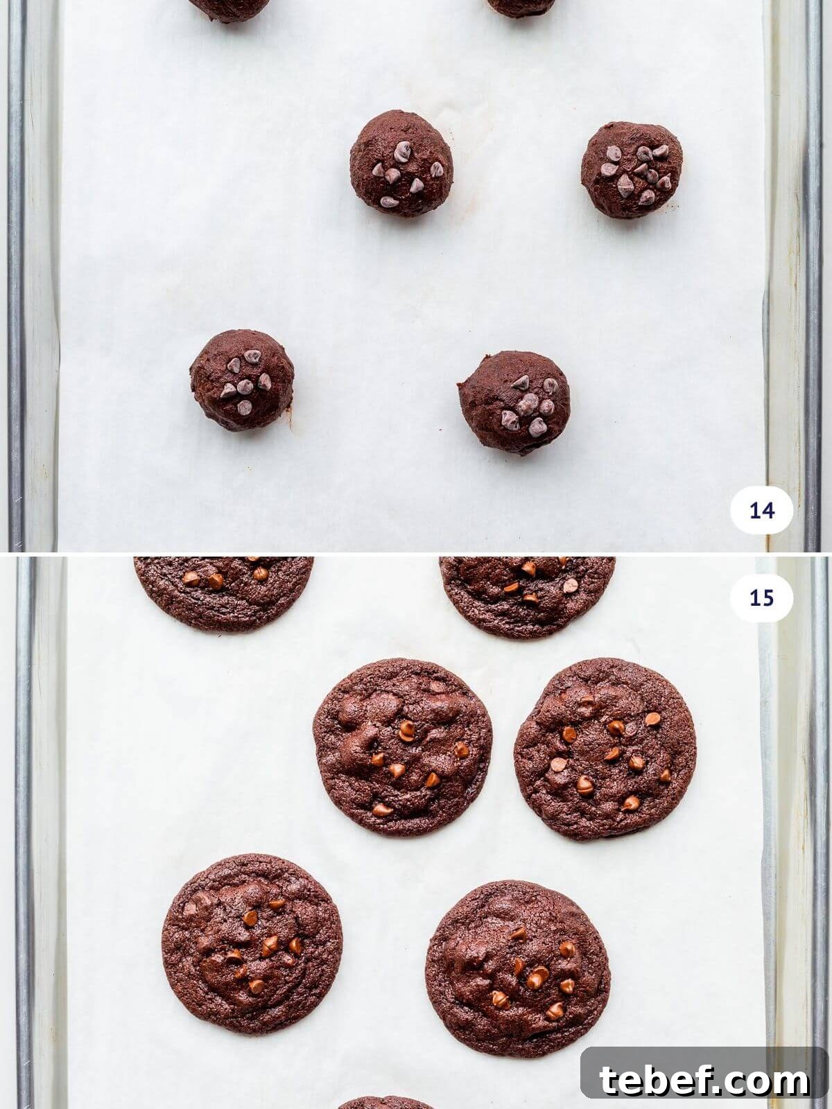 Double Chocolate Chip Cookie Recipe for Rich, Chewy Cookies 8 Chocolate chocolate chip cookies before and after baking on a parchment paper-lined half sheet pan.