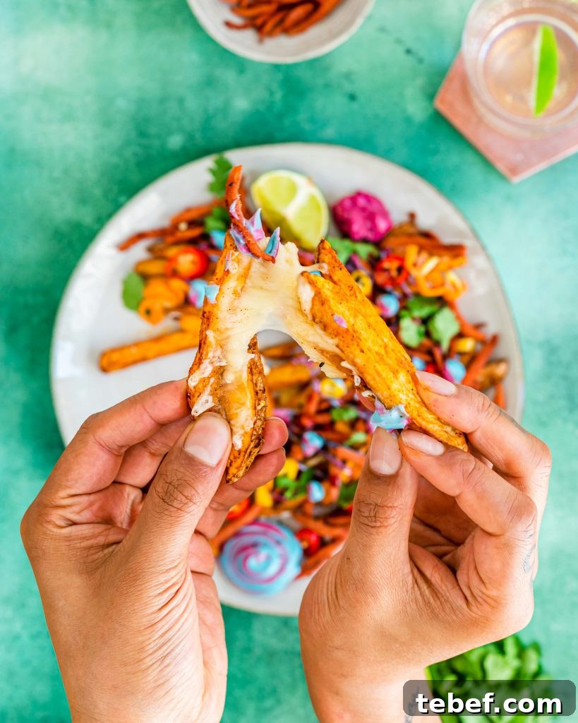 Loaded Cheddar Air Fryer Fries with Crispy Seasoning 3 crispy Cheese fries
