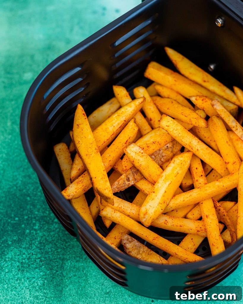 Loaded Cheddar Air Fryer Fries with Crispy Seasoning 4 Crispy Air fryer fries